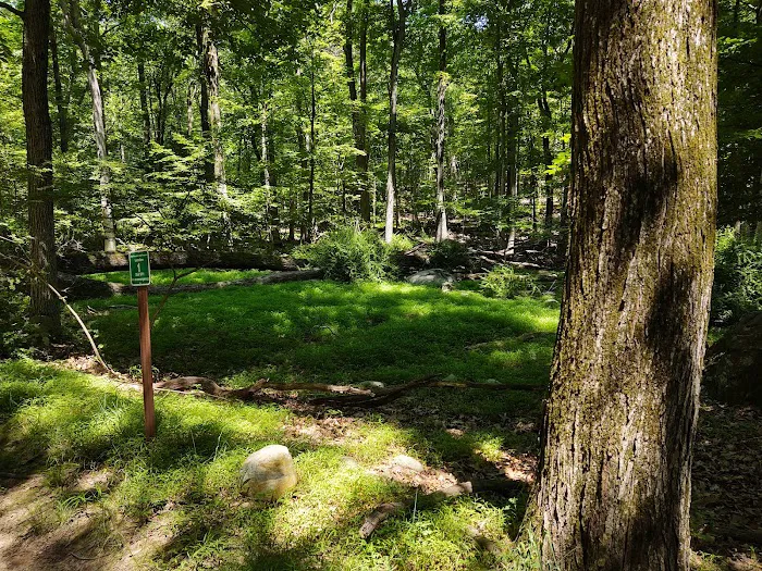 High Mountain Park Preserve Picture 6