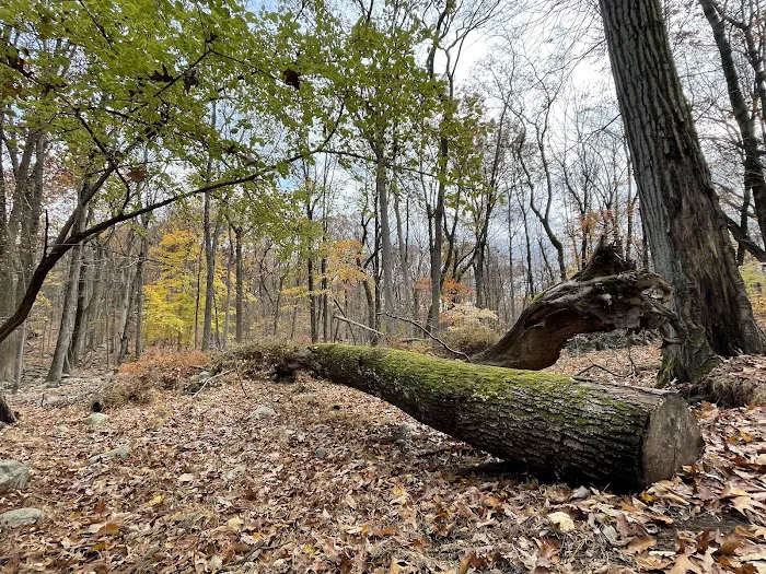High Mountain Park Preserve Picture 2