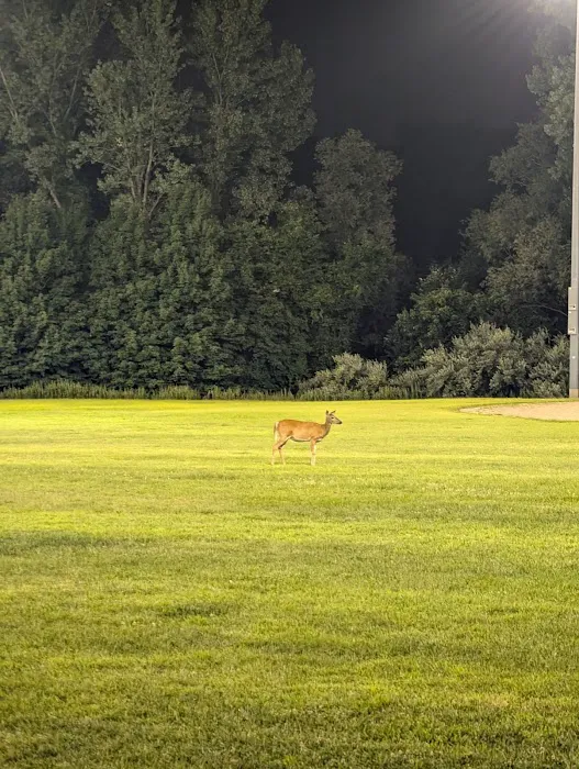 Dave Waks Memorial Park Picture 8