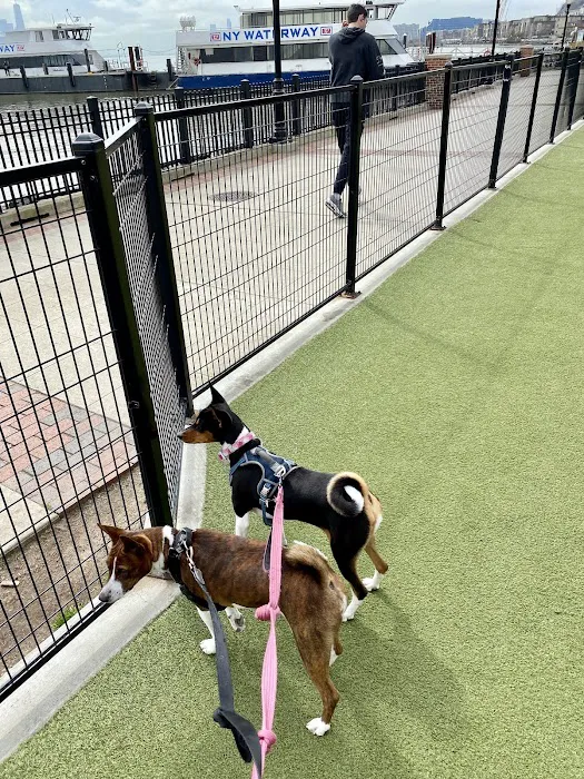 Dog Park Picture 8