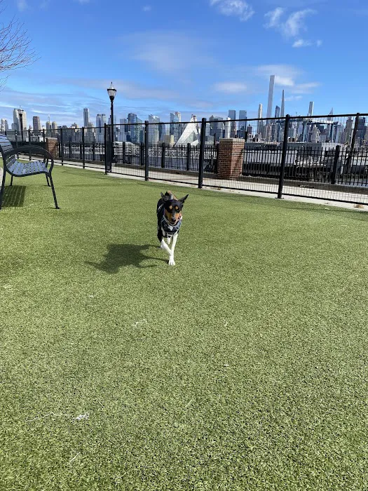 Dog Park Picture 7