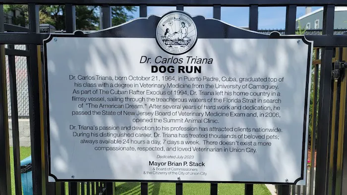 Union City Large Dog Park Picture 2