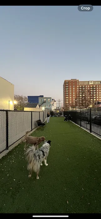 Union City Small Dog Park Picture 6