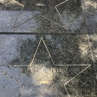 Celia Cruz Park ico