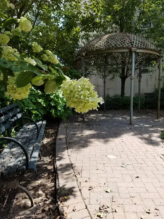 Webster School Park Picture 8