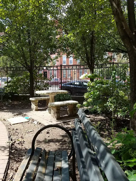 Webster School Park Picture 2