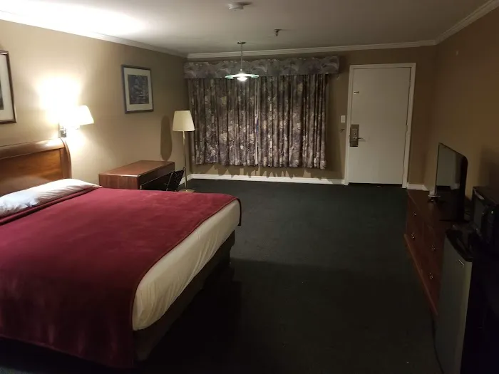 Budget Motor Inn Picture 6