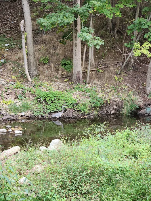 Charles Eccher Park Picture 6