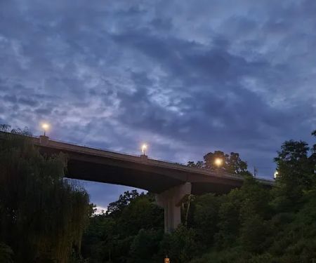 Charles Eccher Park
