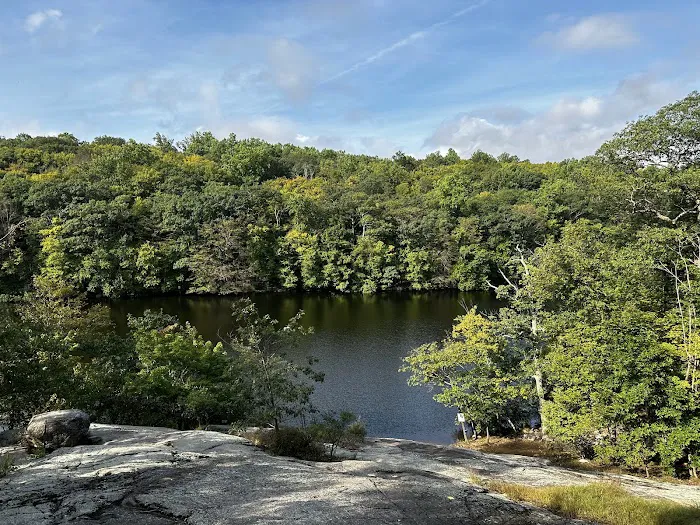 Ramapo Reserve Blue path Picture 10