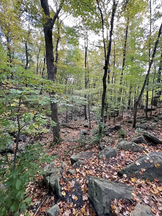Ramapo Reserve Blue path Picture 9