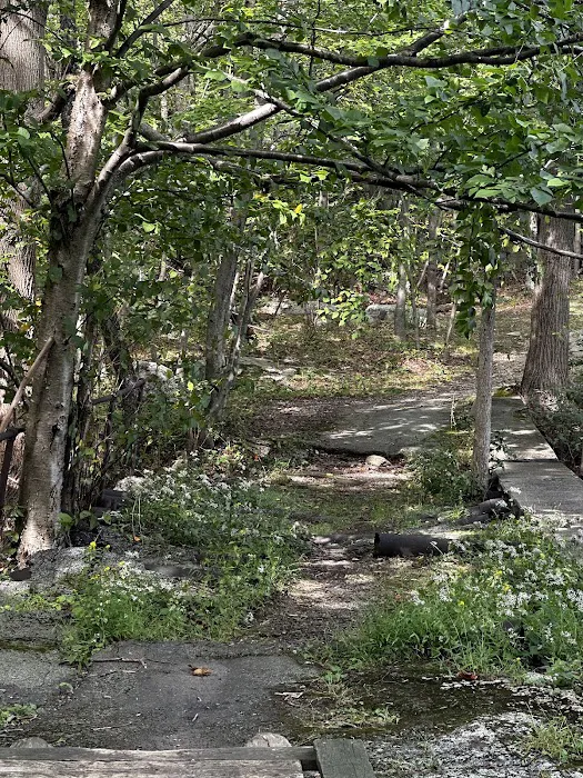 Ramapo Reserve Blue path Picture 6