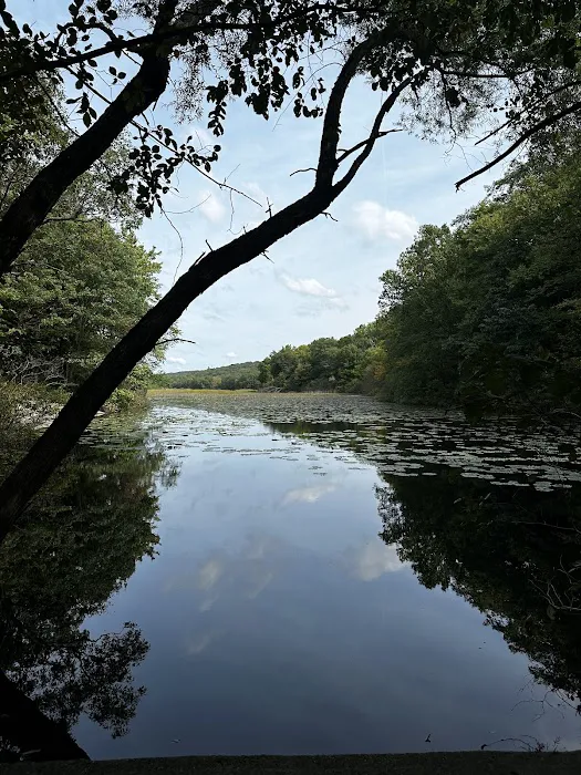 Ramapo Reserve Blue path Picture 1