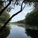 Ramapo Reserve Blue path