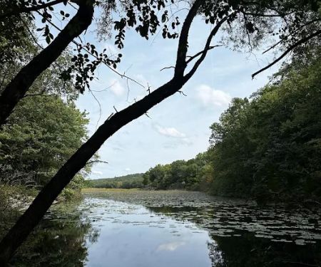 Ramapo Reserve Blue path