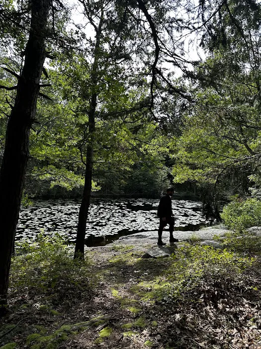 Ramapo Reserve Blue path Picture 3