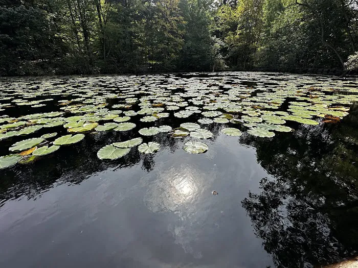 Ramapo Reserve Blue path Picture 5