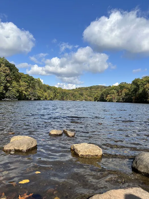 Ramapo Reserve Blue path Picture 7