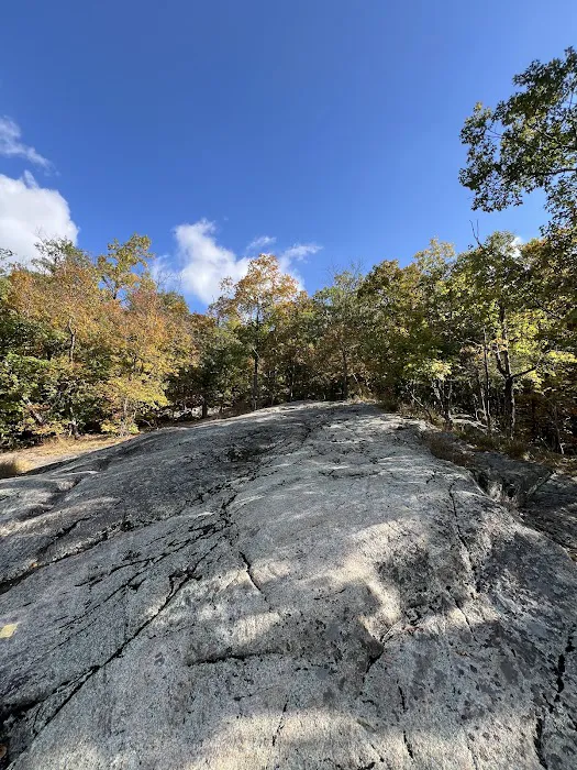 Ramapo Reserve Blue path Picture 8