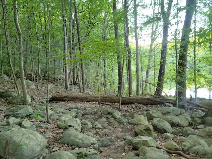 Ramapo Valley County Reservation Picture 1