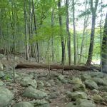 Ramapo Valley County Reservation