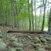 Ramapo Valley County Reservation ico