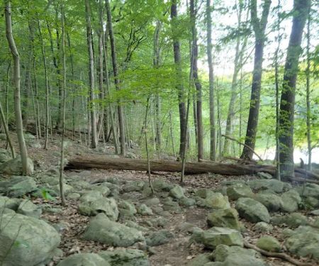 Ramapo Valley County Reservation