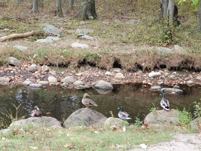 Darlington County Park Picture 6