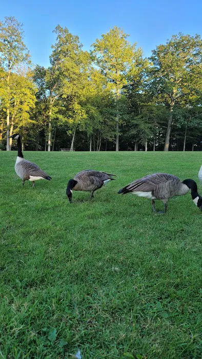 Darlington County Park Picture 8