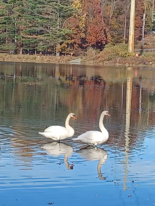 Darlington County Park Picture 2