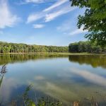 Darlington County Park