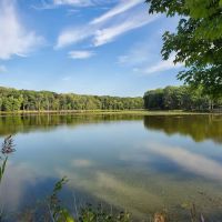 Darlington County Park ico