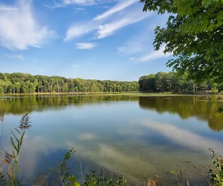 Darlington County Park