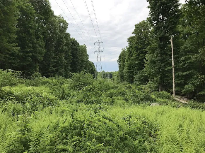 Bergen County Campgaw Mountain Reservation Picture 1