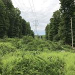 Bergen County Campgaw Mountain Reservation