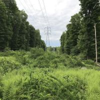 Bergen County Campgaw Mountain Reservation ico