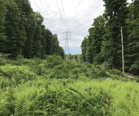 Bergen County Campgaw Mountain Reservation
