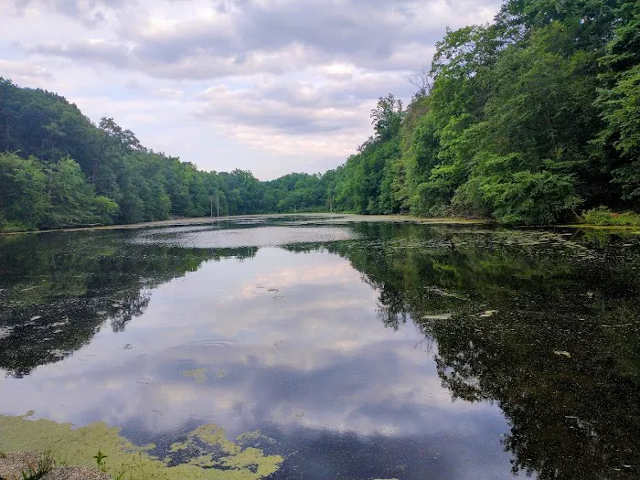 Bergen County Campgaw Mountain Reservation Picture 8