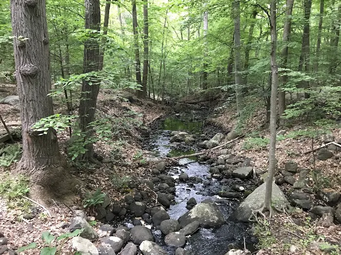 Bergen County Campgaw Mountain Reservation Picture 4