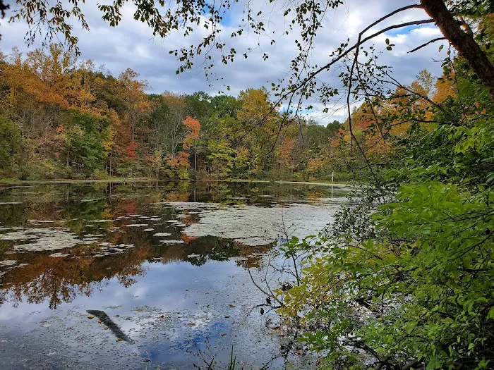 Bergen County Campgaw Mountain Reservation Picture 5