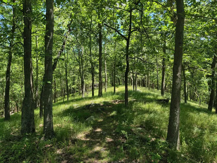 Harriman State Park Picture 9