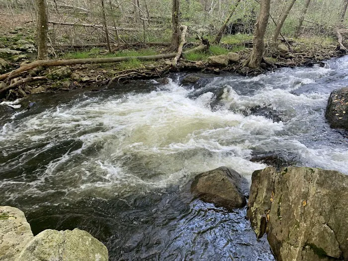 Harriman State Park Picture 5