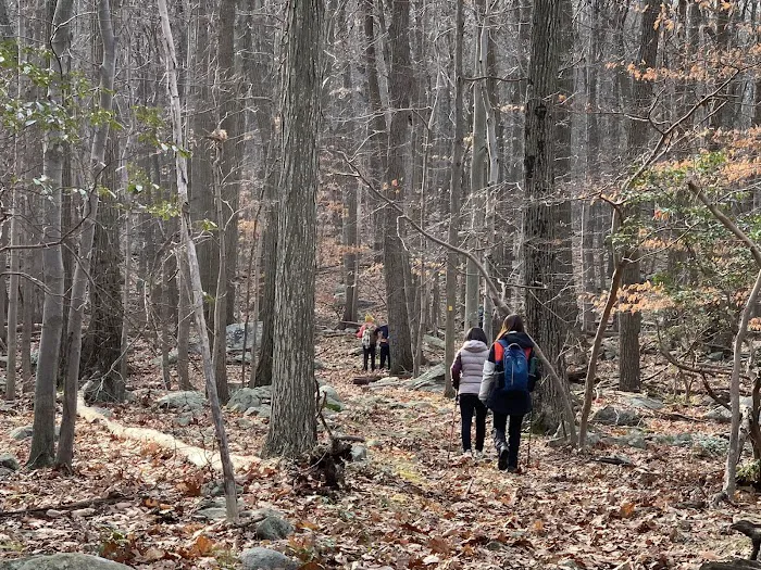 Harriman State Park Picture 10