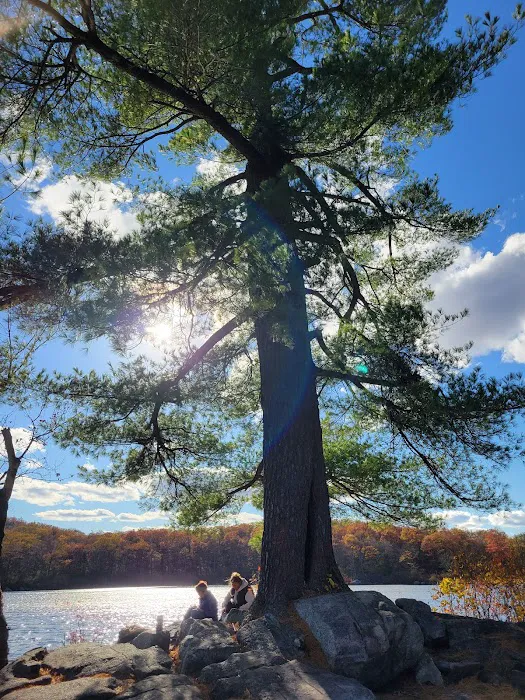 Harriman State Park Picture 7