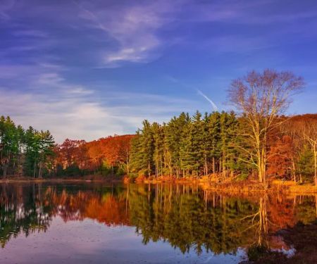Harriman State Park