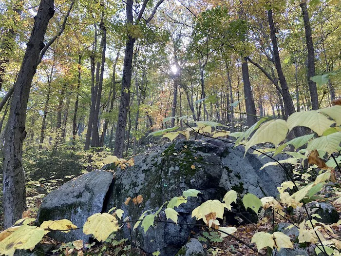 Dater Mountain Nature Park Picture 4
