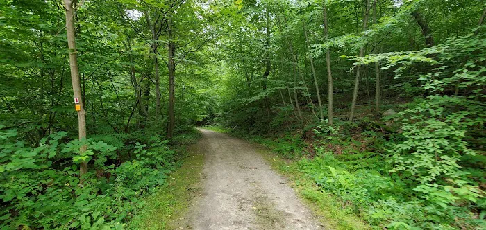 Shepard Lake Recreation Area Picture 8