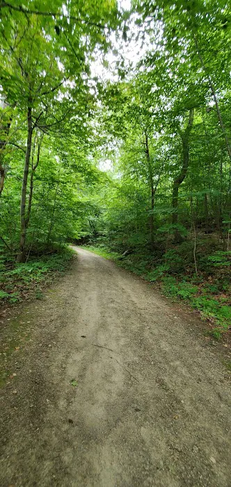 Shepard Lake Recreation Area Picture 3