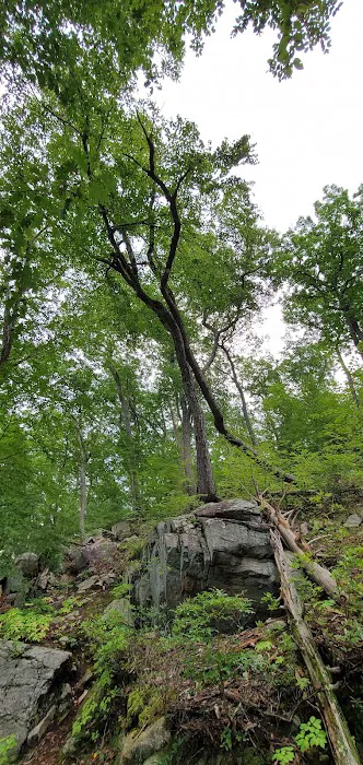 Shepard Lake Recreation Area Picture 4