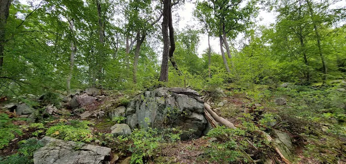 Shepard Lake Recreation Area Picture 9